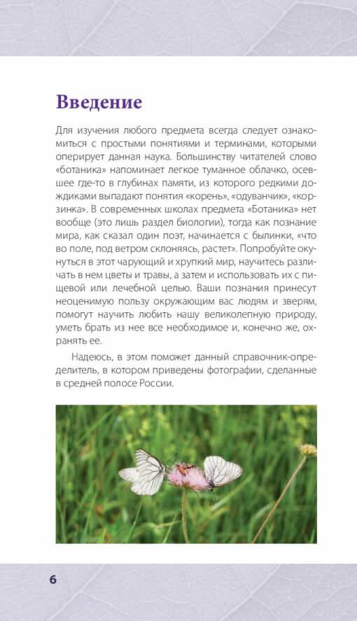 Лечебные травы: иллюстрированный справочник-определитель