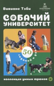 Canine University: Smart Tricks Collection