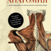 Анатомия: с иллюстрациями из классической «Анатомии Грея»