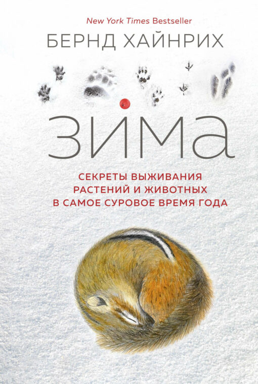 Winter. Secrets of survival of plants and animals in the most severe season