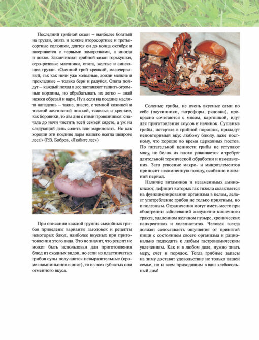 About mushrooms. How to collect and prepare
