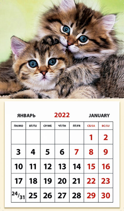 Календарь  на магните отрывной на 2022 год. Котята