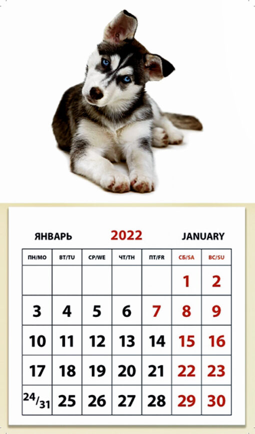 Tear-off magnet calendar for 2022. Puppy