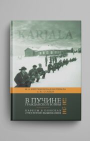 В пучине гражданской войны: Карелы в поисках стратегий выживания. 1917–1922