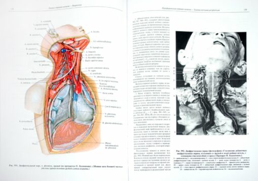 Атлас анатомии человека. В 3 томах