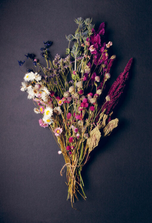 Cut and dry. A Modern Guide to Stylish Dried Flower Arrangements: From Cultivation to Bouquet