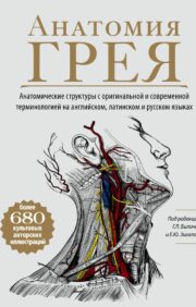 Greja anatomija. Anatomiskās struktūras ar oriģinālu un mūsdienīgu terminoloģiju angļu, latīņu un krievu valodā