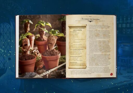 Кулинарная книга Гарри Поттера: более 80 волшебных рецептов
