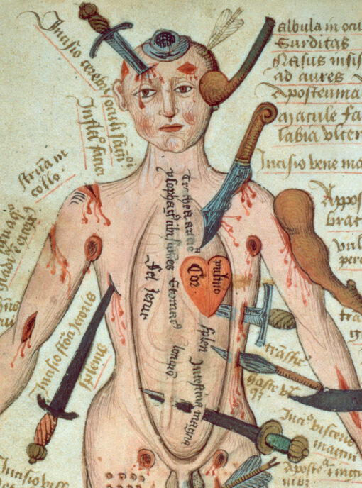 Анатомика. От  ужасного до великого: человеческое тело в искусстве