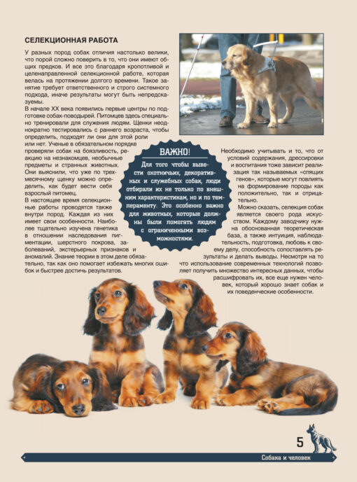 Большая  энциклопедия. Собаки