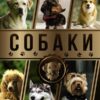 Большая  энциклопедия. Собаки