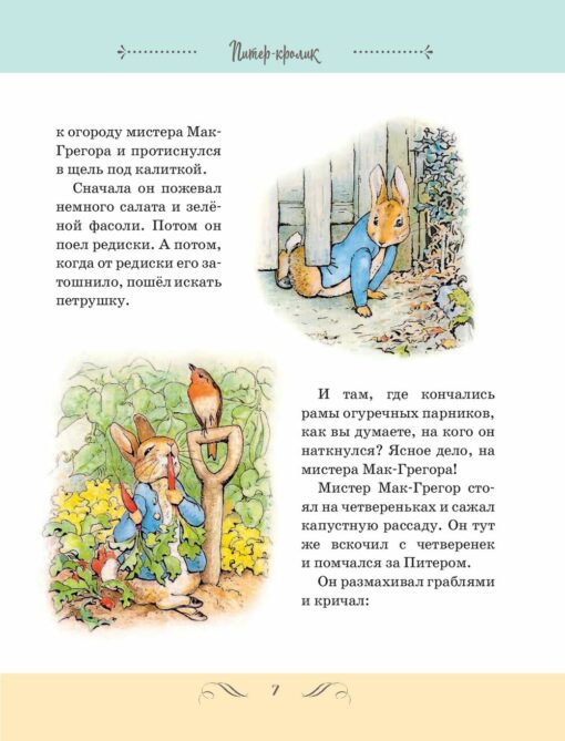 All about Peter Rabbit
