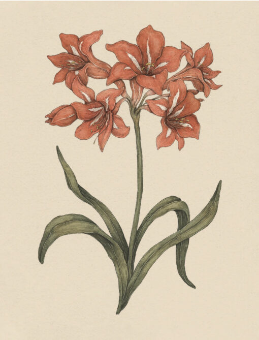 Floriogrāfija. Ilustrēts ceļvedis Viktorijas laika ziedu valodā