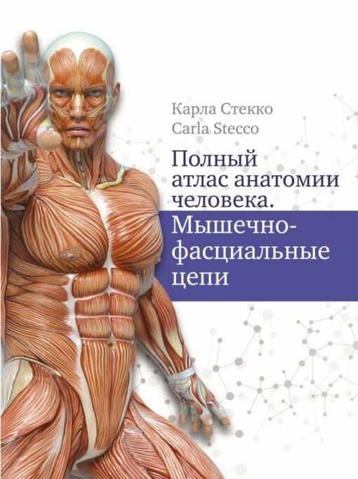 Pilns cilvēka anatomijas atlants. Muskuļu-fasciālās ķēdes
