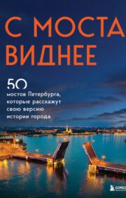 С моста  виднее. 50 мостов Петербурга, которые расскажут свою версию истории города
