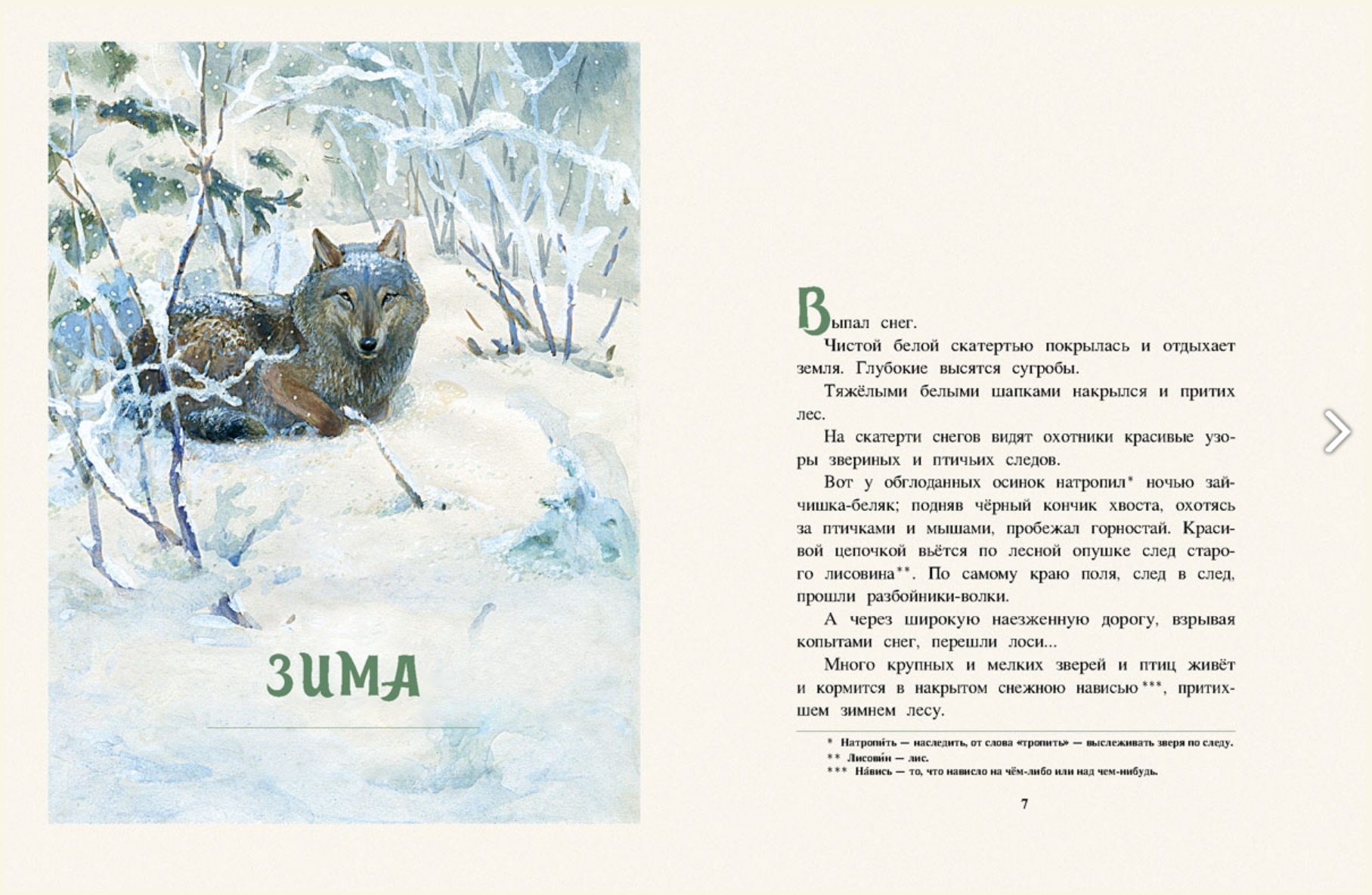 Декабрь читать полностью. Год в лесу книга Соколов Микитов. Рассказ Соколова Микитова зима в лесу.