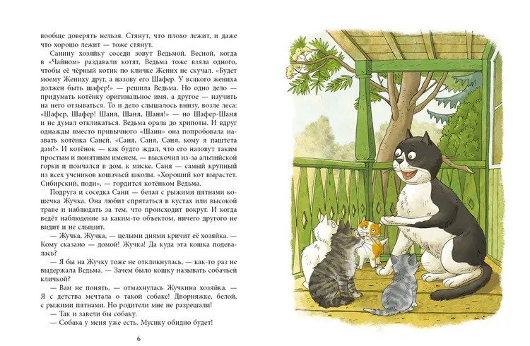 Учитесь у кошек – Книжный интернет-магазин Kniga.lv Polaris