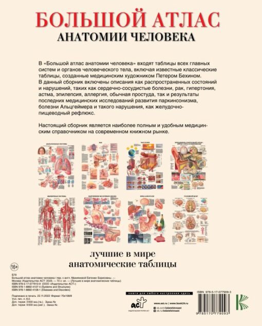 Large Atlas of Human Anatomy