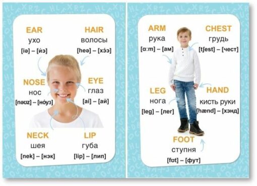 English language. First words. Educational cards