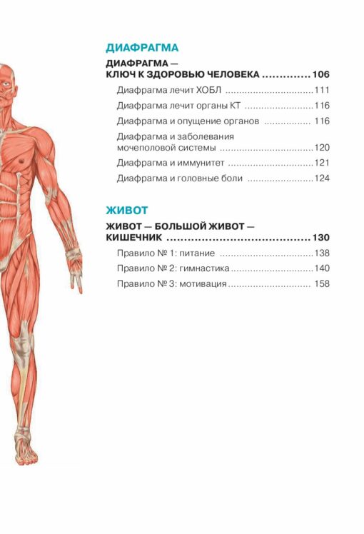 Functional anatomy of health