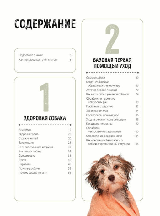 First aid for dogs. Examination, actions in emergency situations, first aid kit, socialization