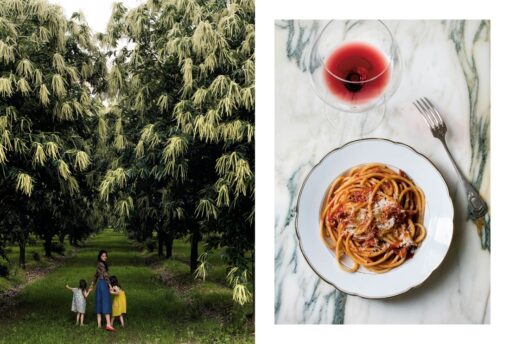 Italian classic. Recipes and delicious traditions from Turin to Sicily
