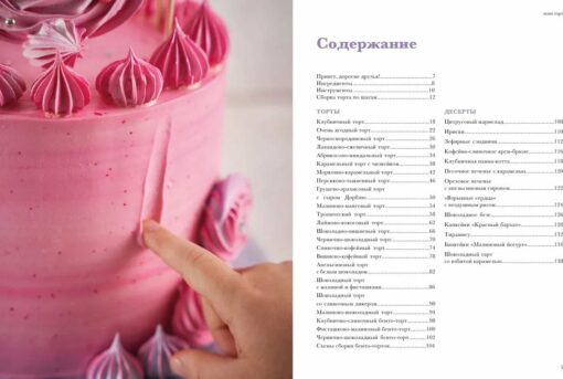 Grab the cake! A book about endless love for baking