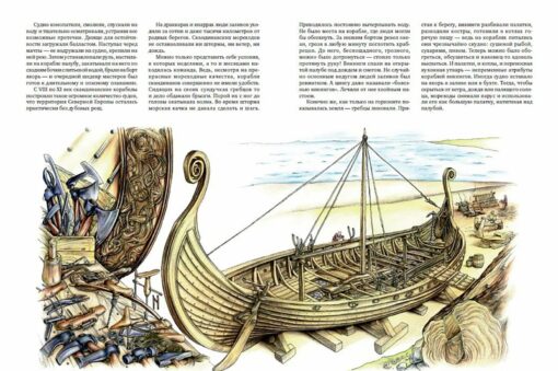 Vikings: people of the bays