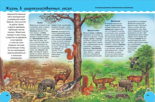 Dzīvnieki. Bērnu ilustrētā enciklopēdija