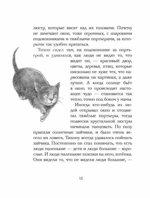 Tikhon the Cat, or the Kidnapping of the Dutchman