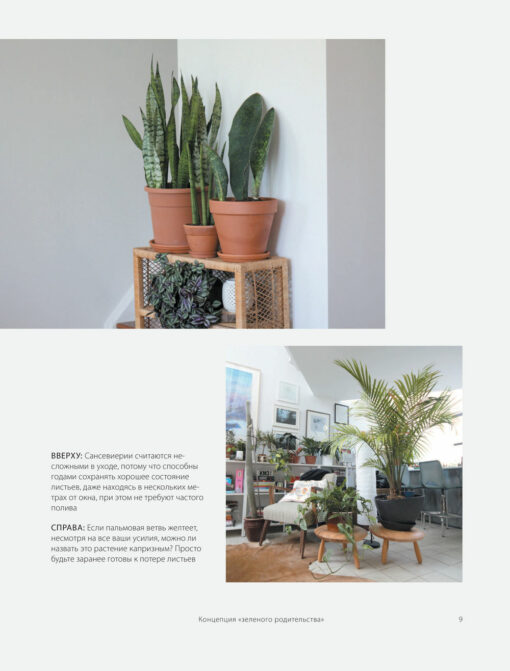 Green house. The most comprehensive guide to houseplant care