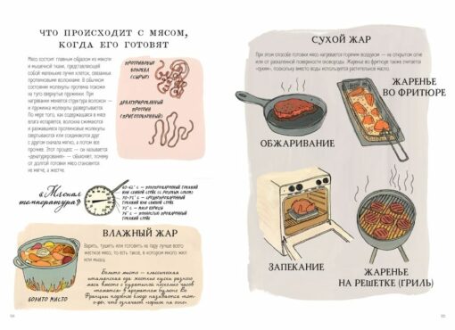 Pārtikas anatomija. Izklaidējoša pārtikas zinātne