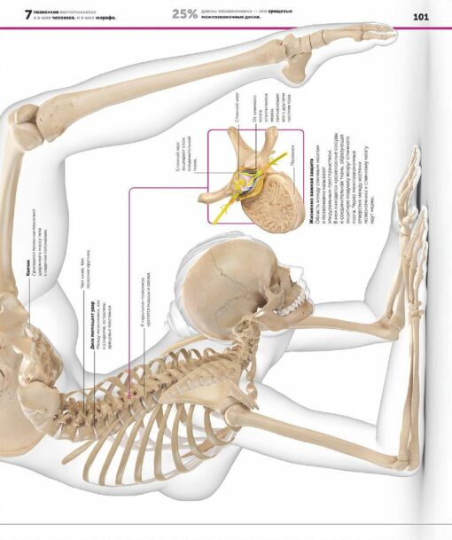 Cilvēka anatomija. Vispilnīgākā mūsdienu enciklopēdija