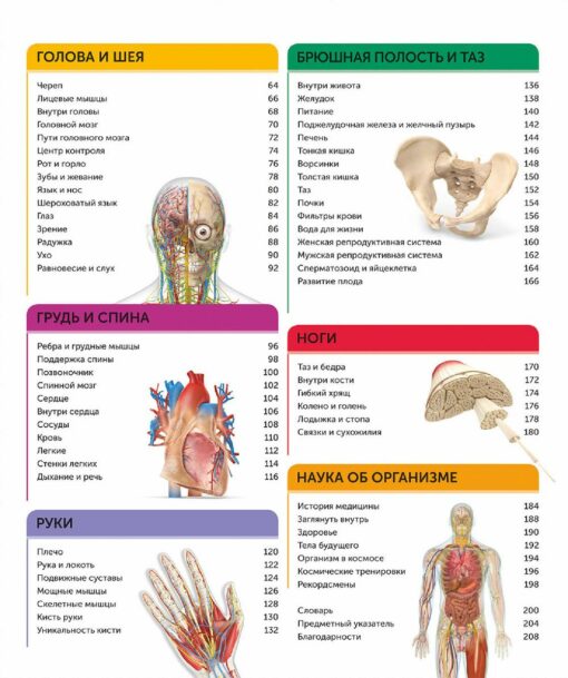 Cilvēka anatomija. Vispilnīgākā mūsdienu enciklopēdija