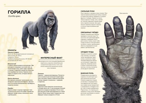 life size animals of africa