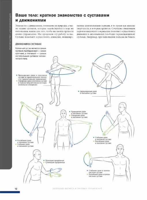 Анатомия  фитнеса и силовых упражнений: иллюстрированный справочник по мышцам в  действии