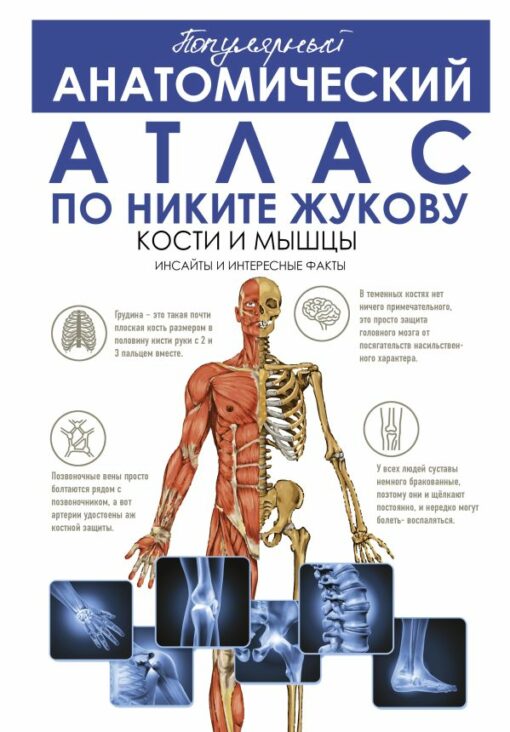 Populārs anatomiskais atlants pēc Ņikitas Žukova: kauli un muskuļi. Atziņas un interesanti fakti