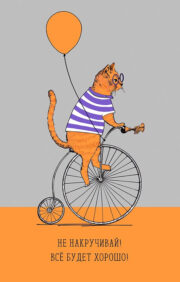 Postcard. Don't twist! Everything will be fine! Red cat on a bicycle