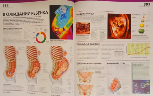 Atlas of human anatomy. Detailed illustrated guide