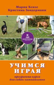 Learn by playing. Companion Dog Course Program
