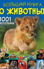 Большая книга  о животных. 1001 фотография