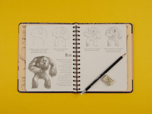 Sketchbook with lessons inside. How to Draw Fantastic Creatures