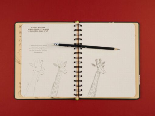 Sketchbook с  уроками внутри. Рисуем животных
