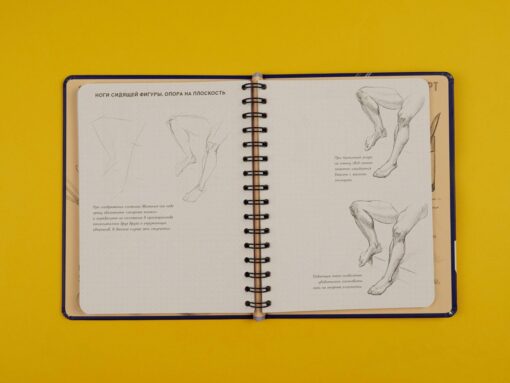 Sketchbook with lessons inside. Draw a person