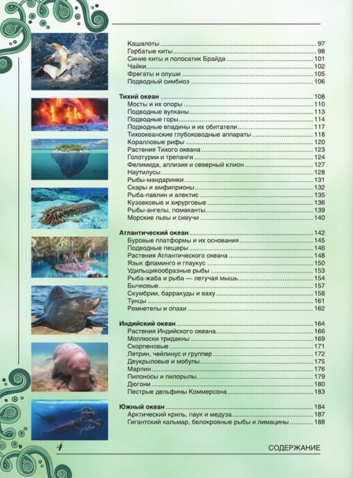 Большая книга  о подводном мире. 1001 фотография