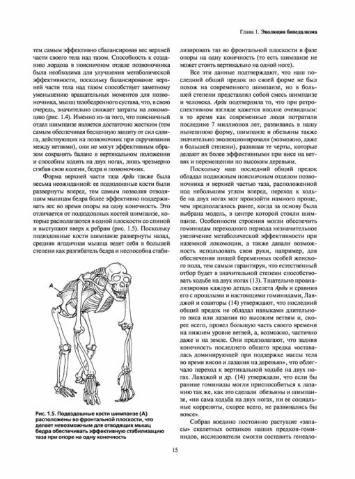 Human locomotion. Examination protocol, assessment, treatment and prevention of gait cycle-related injuries
