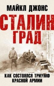 Stalingrad. How did the triumph of the Red Army take place