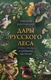 Gifts of the Russian forest. Mushrooms, berries and medicinal plants