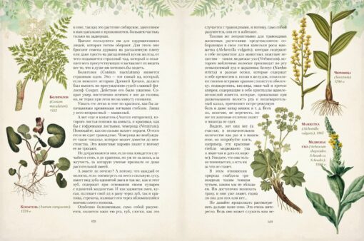 Krievu meža dāvanas. Sēnes, ogas un ārstniecības augi