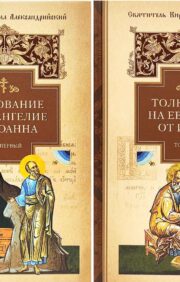 Commentary on the Gospel of John. In 2 volumes